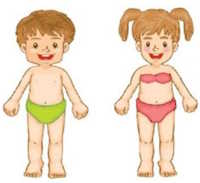 Giáo án Sinh hoạt lớp 4 tuần 6: An toàn trong cuộc sống của em