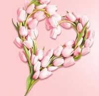 Giáo án Sinh hoạt lớp 4 tuần 24: Gắn kết gia đình - Quý trọng phụ nữ