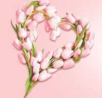  Giáo án Sinh hoạt dưới cờ lớp 4 tuần 23 chủ đề: Phòng tránh bị xâm hại