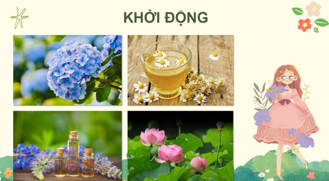 Cong nghe 4 3*726254