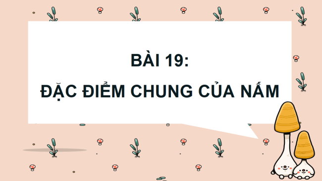 Khoa hoc 4 HK2 1*726283