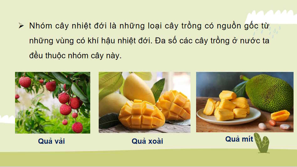 Cong nghe 10 HK1 8*727417