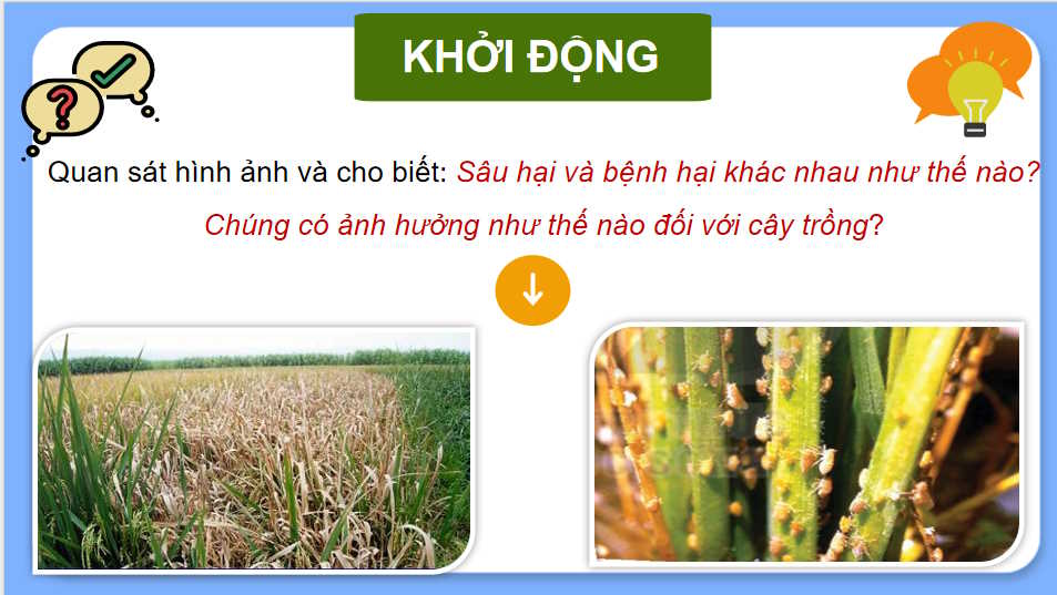 Cong nghe 10 HK2 2*727423