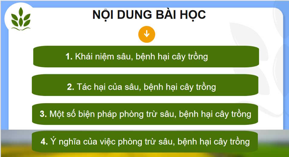 Cong nghe 10 HK2 3*727421