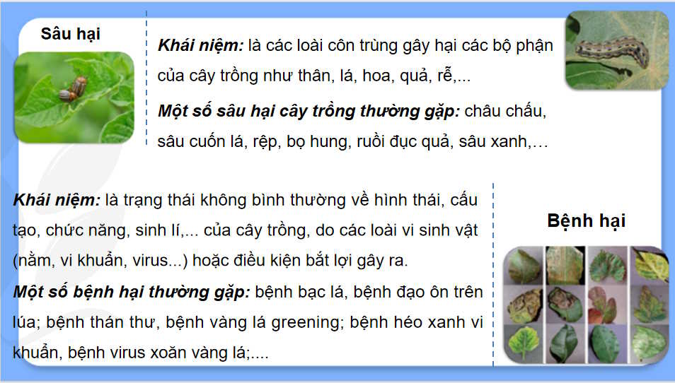 Cong nghe 10 HK2 5*727425