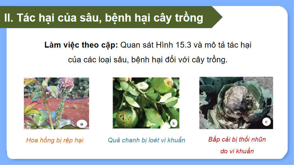 Cong nghe 10 HK2 6*727424