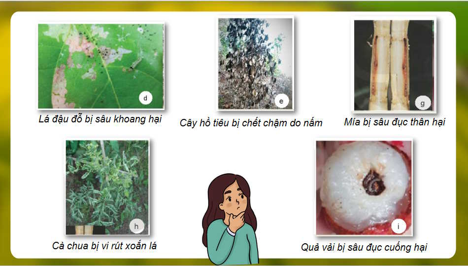 Cong nghe 10 HK2 7*727426