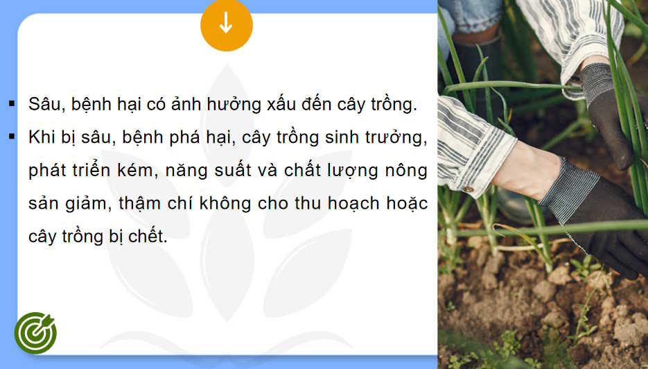 Cong nghe 10 HK2 8*727427
