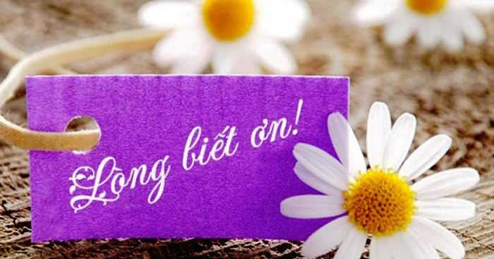 Giáo án Sinh hoạt lớp 5