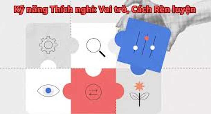 Sinh hoạt dưới cờ 9