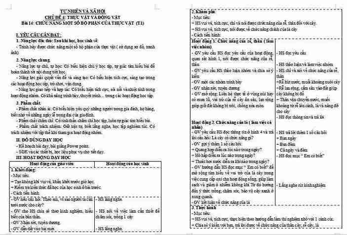 Giáo án PowerPoint Tự nhiên và xã hội 3 Bài 12