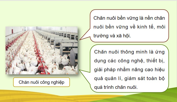 Cong nghe 11 HK1 4*734149