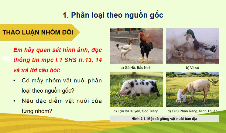 Cong nghe 11 HK1 6*734145