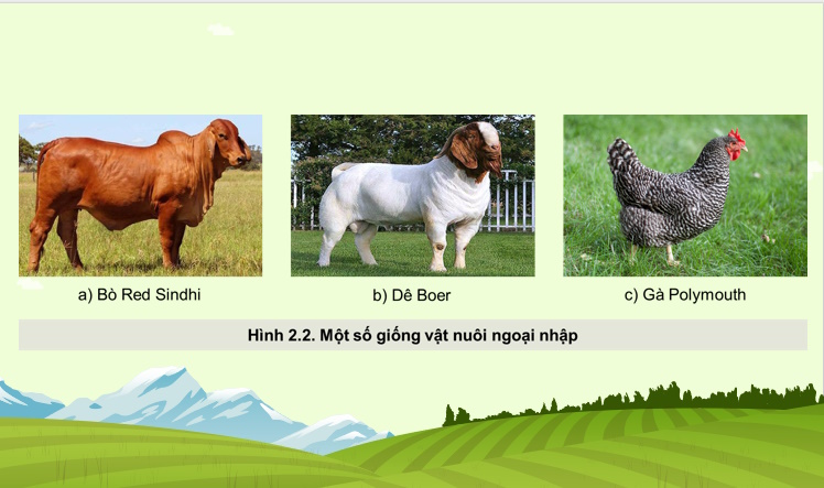 Cong nghe 11 HK1 7*734147