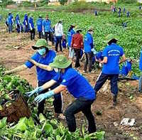 Giáo án Sinh hoạt lớp 9 tuần 28: Em với thiên nhiên và môi trường