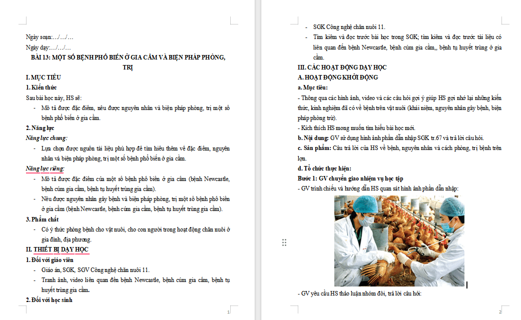 Một số bệnh phổ biến ở gia cầm và biện pháp phòng trị bệnh