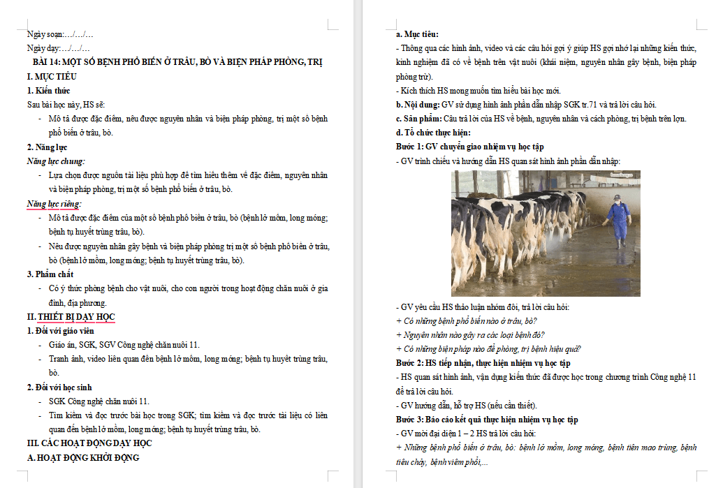 Một số bệnh phổ biến ở trâu bò và biện pháp phòng trị