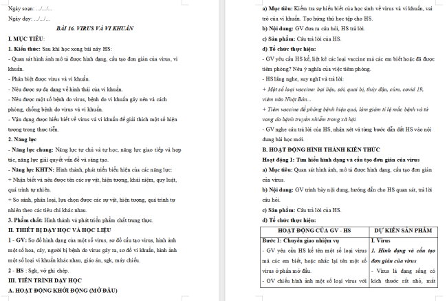 Giáo án Khoa học tự nhiên 6 Bài 16: Virus và vi khuẩn