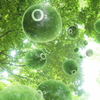 Giáo án PowerPoint Khoa học tự nhiên 6 Bài 7: Oxygen và không khí