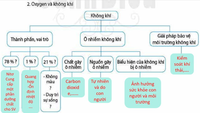 PowerPoint Khoa học tự nhiên 6 Bài tập Chủ đề 3 và 4