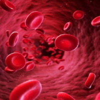 Giáo án PowerPoint Khoa học tự nhiên 6: Bài tập Chủ đề 7