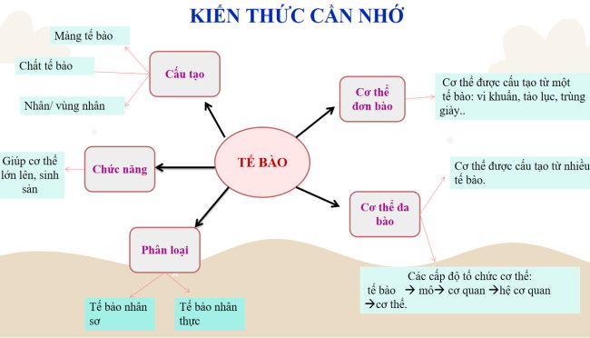  Giáo án Khoa học tự nhiên 6 Bài tập Chủ đề 7