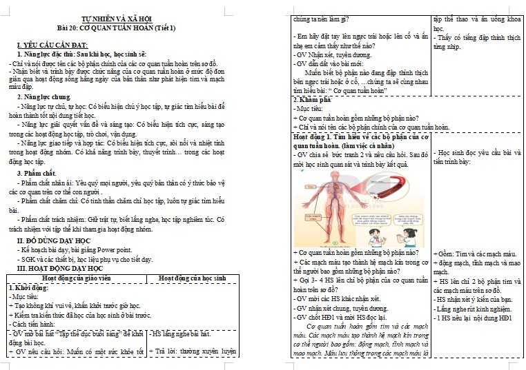 Bài 18: Cơ quan tiêu hóa