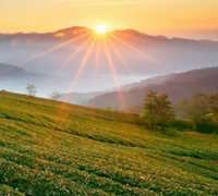 Đơn đề nghị sử dụng đất kết hợp đa mục đích