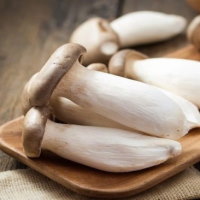 Giáo án PowerPoint Khoa học 4 Bài 19: Sự đa dạng của nấm