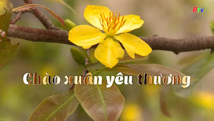 Trang trí lớp đón Tết