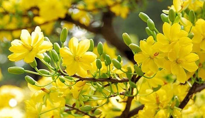 Sơ kết cuối học kỳ I