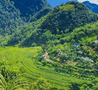 Giáo án Sinh hoạt lớp 7 tuần 28 chủ đề: Bảo tồn cảnh quan thiên nhiên