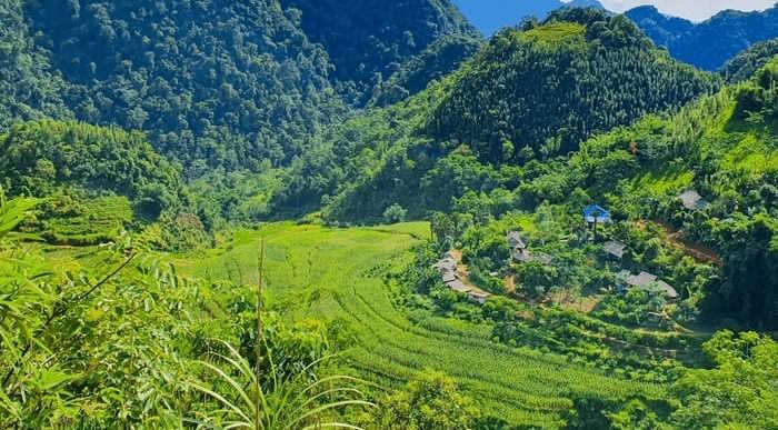  Bảo tồn cảnh quan thiên nhiên