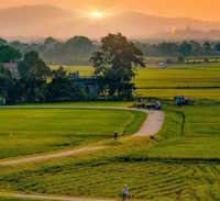 Giáo án Sinh hoạt lớp 7 tuần 29 chủ đề: Bảo tồn cảnh quan thiên nhiên