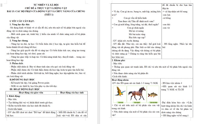 Giáo án Tự nhiên và xã hội 3 Bài 13: Các bộ phận của động vật và chức năng của chúng