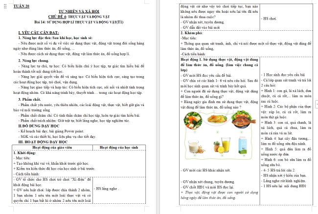 Giáo án Tự nhiên và xã hội 3 Bài 14: Sử dụng hợp lí thực vật và động vật
