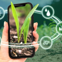 Giáo án PowerPoint Tự nhiên và xã hội 3 Bài 9: Hoạt động sản xuất nông nghiệp