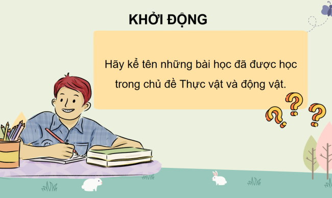 PPT Tự nhiên và xã hội 3 Ôn tập Chủ đề thực vật và động vật