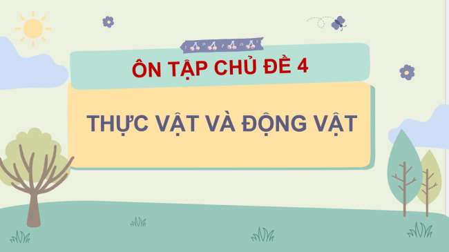 PPT Tự nhiên và xã hội 3 Ôn tập Chủ đề thực vật và động vật