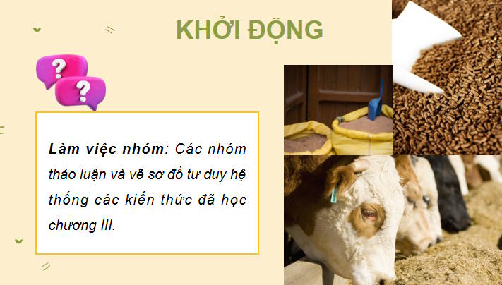 Công nghệ Chăn nuôi 11 Ôn tập chương 3