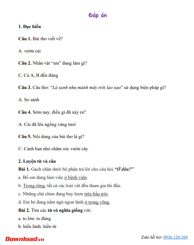 Bai tap Tet KNTT3 2*740421