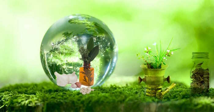 Trao đổi về vai trò, ý nghĩa của cảnh quan thiên nhiên đối với cuộc sống con người