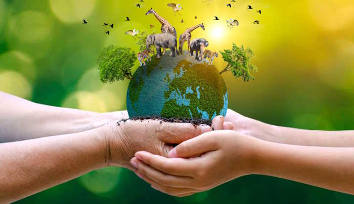 Giao lưu với chuyên gia về vấn đề bảo tồn thế giới tự nhiên và động vật hoang dã