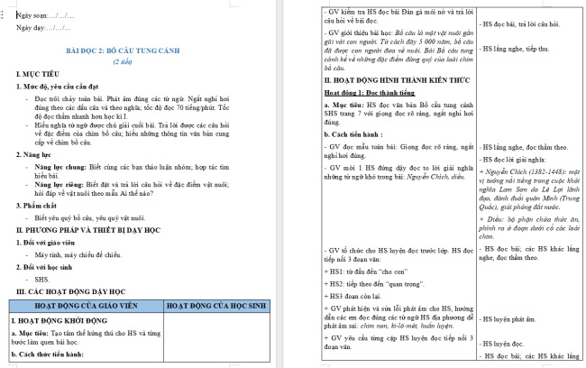 Giáo án Tiếng Việt 2 Bài 19: Bồ câu tung cánh