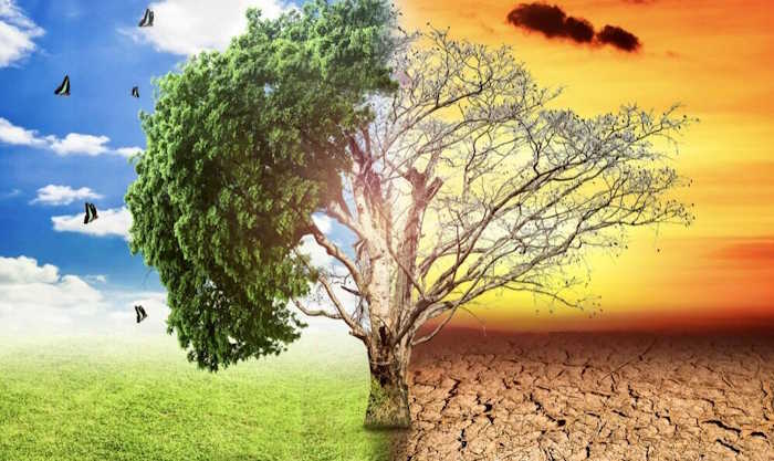 Giáo án Sinh hoạt dưới cờ lớp 12