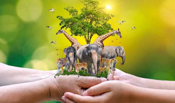 Giáo án Sinh hoạt dưới cờ lớp 12