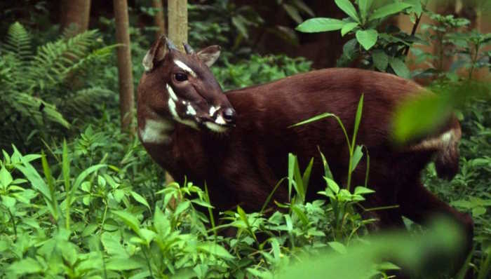 Giáo án Sinh hoạt lớp 12  Kết nối tri thức