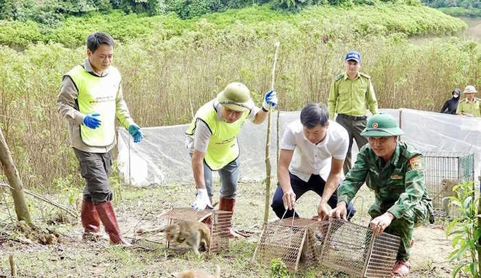 Giáo án Sinh hoạt lớp 12  Kết nối tri thức