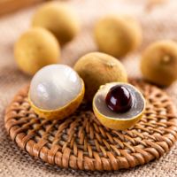 Sổ tay Hướng dẫn kỹ thuật canh tác cây nhãn theo VietGAP