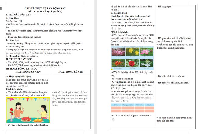 Giáo án Tự nhiên và xã hội 3 Bài 17: Thế giới động vật quanh em